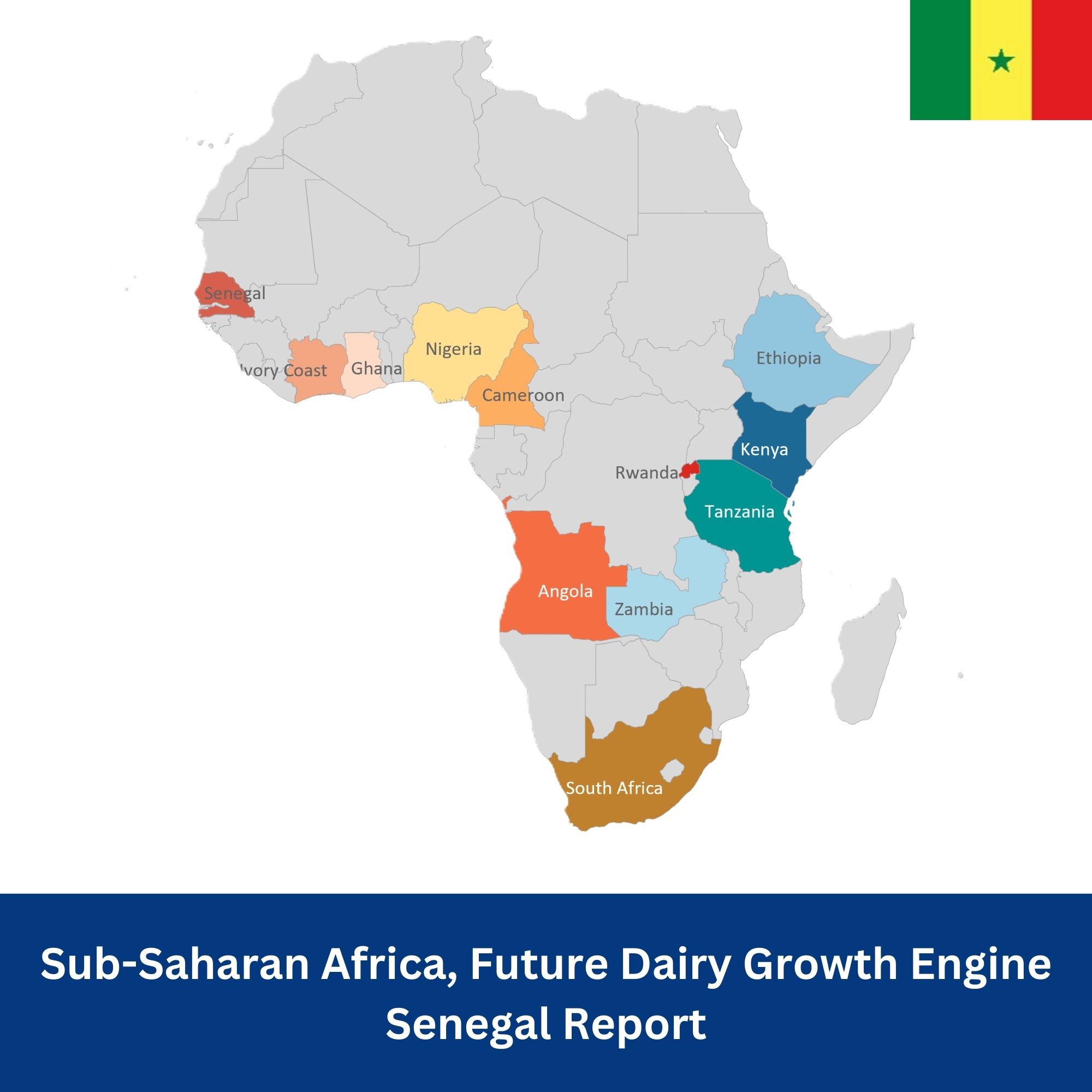 Sub-Saharan Africa Senegal Report, Future Dairy Growth Engine